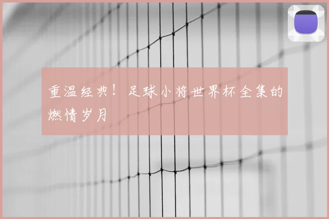 重温经典!足球小将世界杯全集的燃情岁月