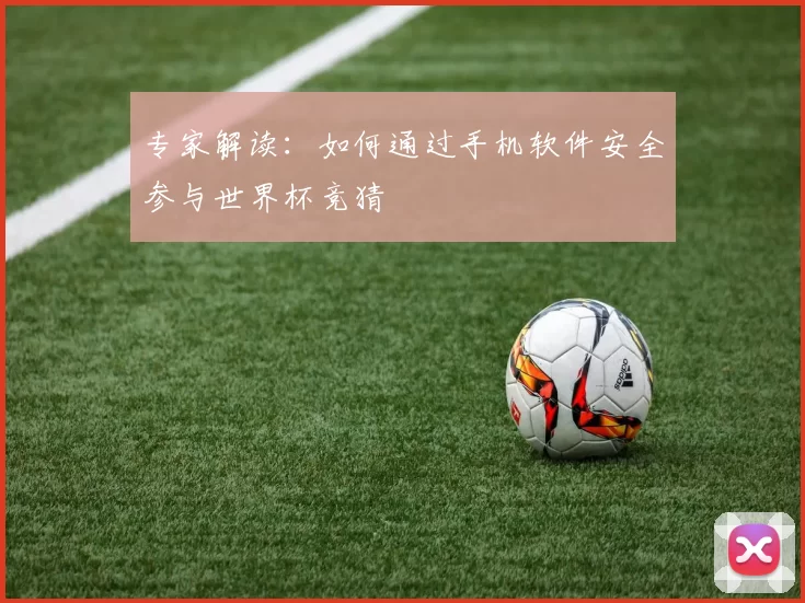 专家解读:如何通过手机软件安全参与世界杯竞猜