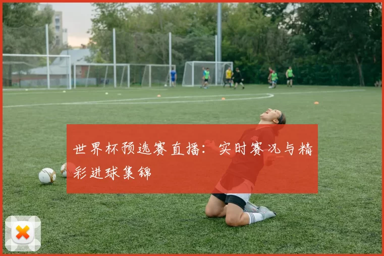 世界杯预选赛直播:实时赛况与精彩进球集锦