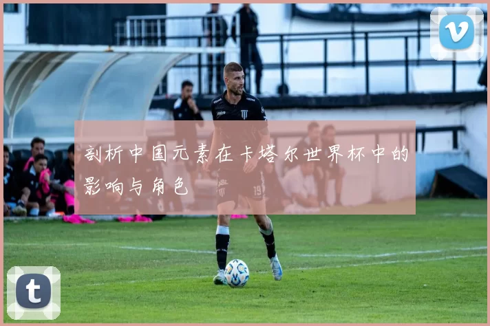 剖析中国元素在卡塔尔世界杯中的影响与角色