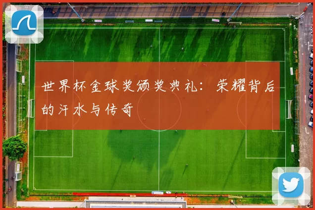 世界杯金球奖颁奖典礼:荣耀背后的汗水与传奇
