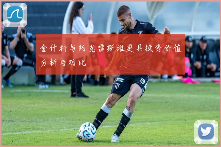 舍什科与约克雷斯谁更具投资价值分析与对比