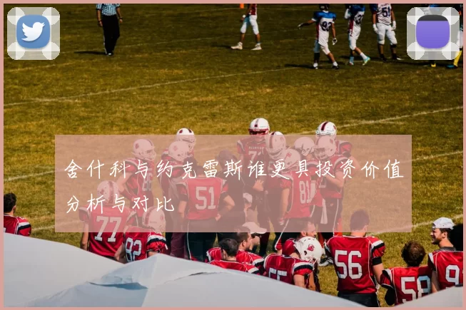 舍什科与约克雷斯谁更具投资价值分析与对比