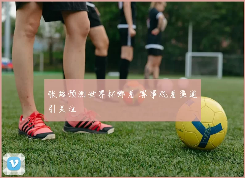 张路预测世界杯哪看 赛事观看渠道引关注