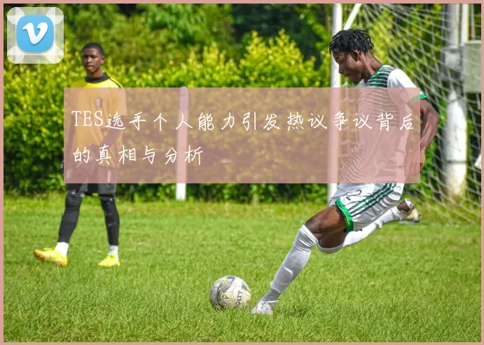 TES选手个人能力引发热议争议背后的真相与分析