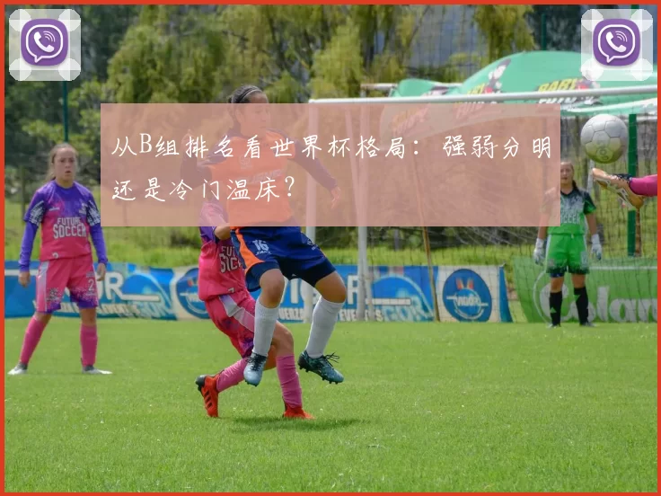 从B组排名看世界杯格局:强弱分明还是冷门温床?