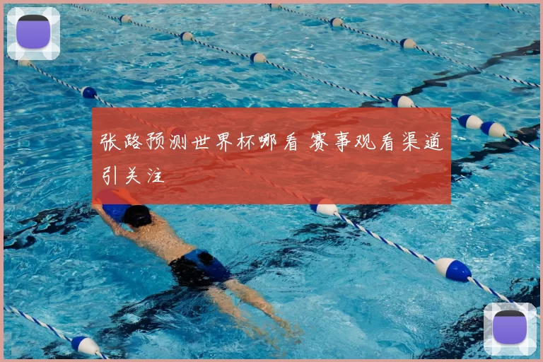 张路预测世界杯哪看 赛事观看渠道引关注