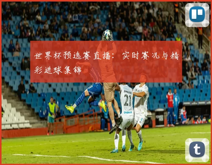 世界杯预选赛直播：实时赛况与精彩进球集锦