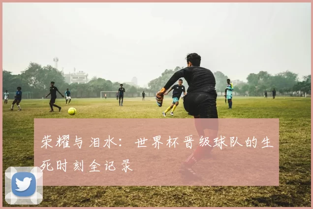 荣耀与泪水:世界杯晋级球队的生死时刻全记录