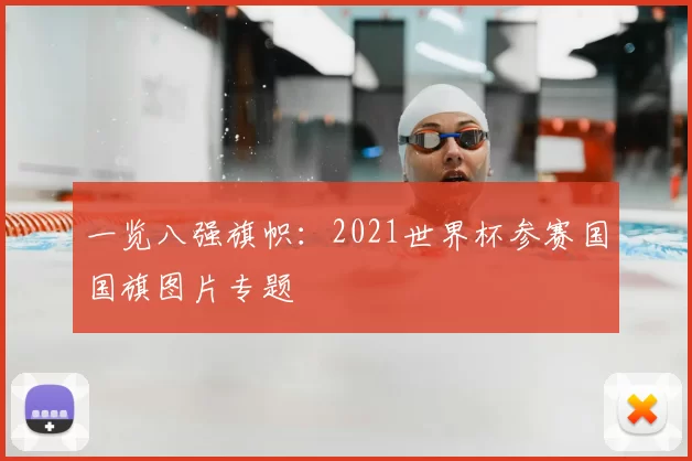 一览八强旗帜:2021世界杯参赛国国旗图片专题